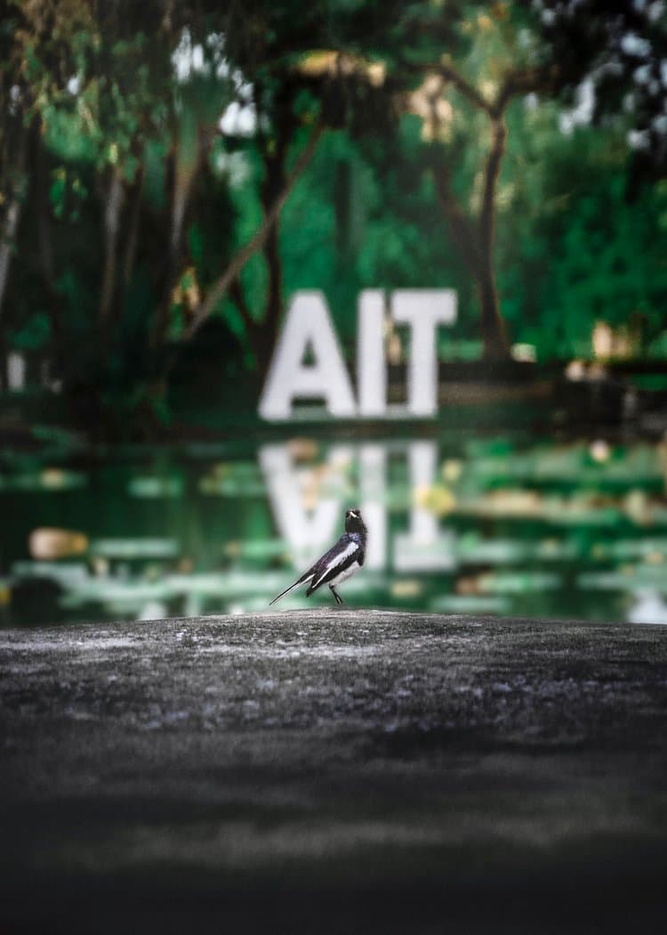 Soe Yan Paing, Photography, available to see in instagram. https://www.instagram.com/soe.envision/