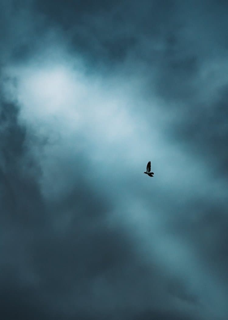 Soe Yan Paing, Photography, available to see in instagram. https://www.instagram.com/soe.envision/