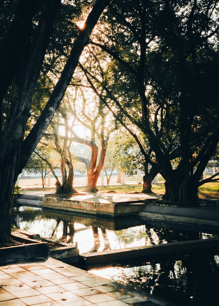 Soe Yan Paing, Photography, available to see in instagram. https://www.instagram.com/soe.envision/