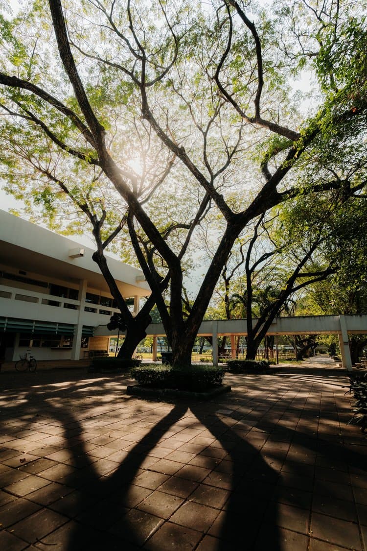 Soe Yan Paing, Photography, available to see in instagram. https://www.instagram.com/soe.envision/